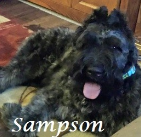 Sampson. 2014-2015